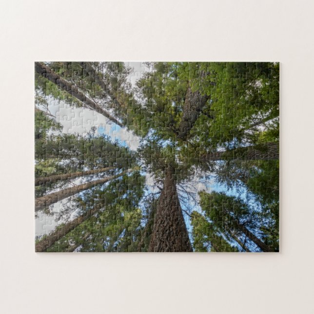 Douglas Fir tree canopy Jigsaw Puzzle (Horizontal)