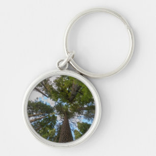 Douglas Fir tree canopy Keychain