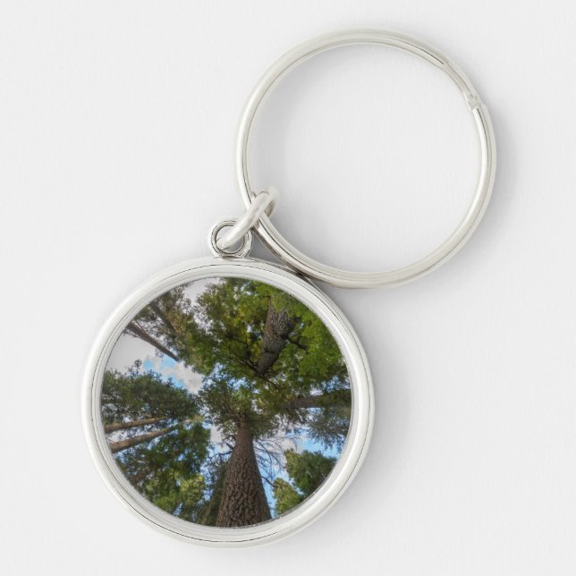 Douglas Fir tree canopy Keychain (Front)