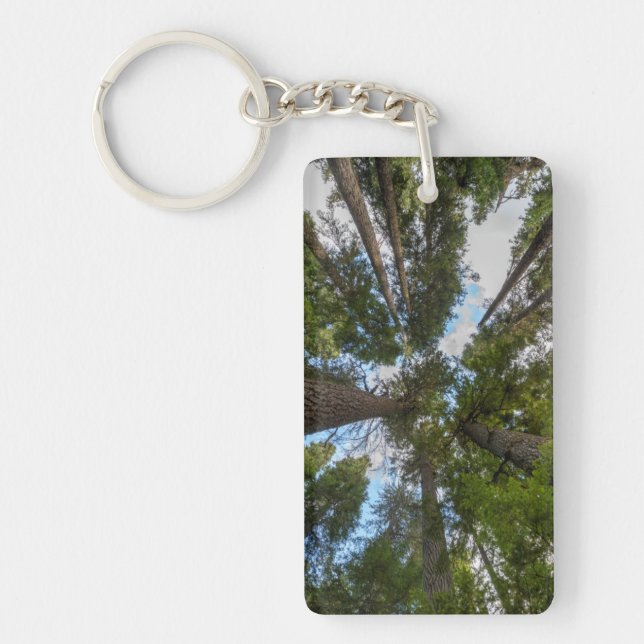 Douglas Fir tree canopy Keychain (Front)