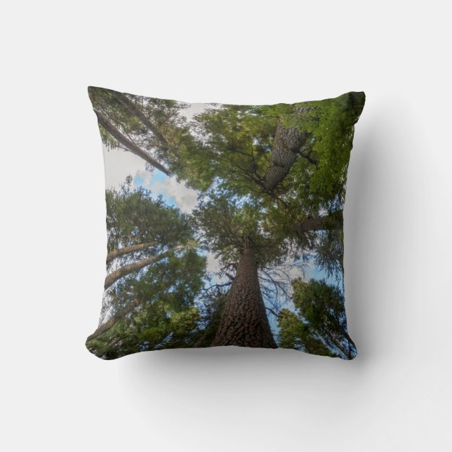 Douglas Fir tree canopy Throw Pillow (Front)