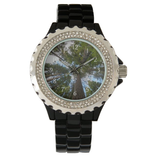 Douglas Fir tree canopy Watch (Front)