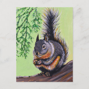 Douglas Squirrel Painting Postcard