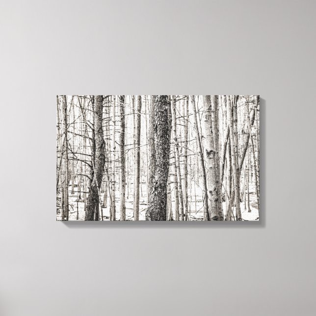 Douglas Woods Canvas Print (Front)