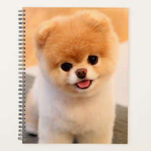 Doux Charming Poméranien Unique Planner