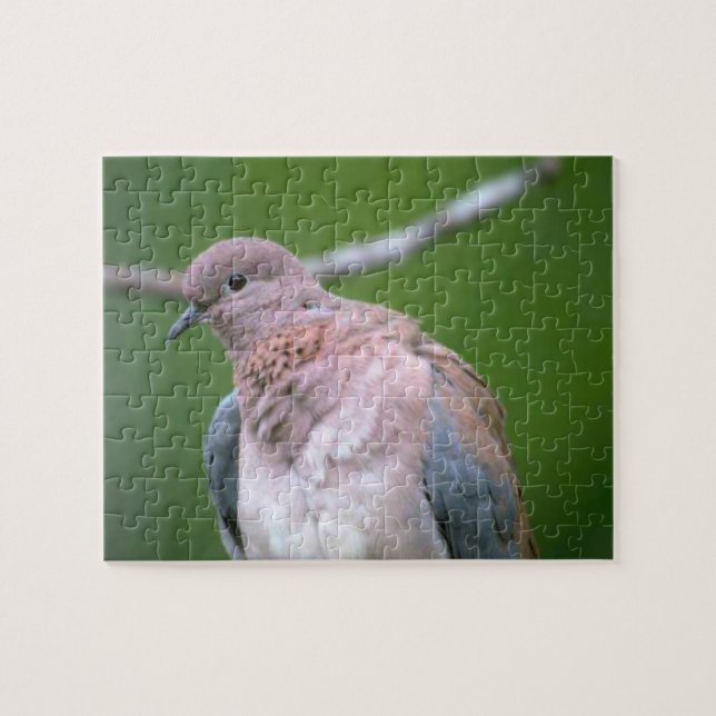 Dove Bird Jigsaw Puzzle (Horizontal)