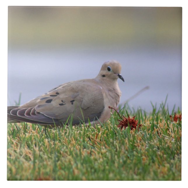 Dove Bird Tile (Front)