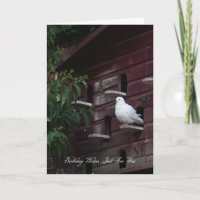 Dove Birthday Greeting Card