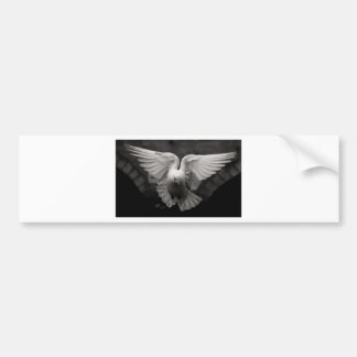 Dove Bumper Sticker