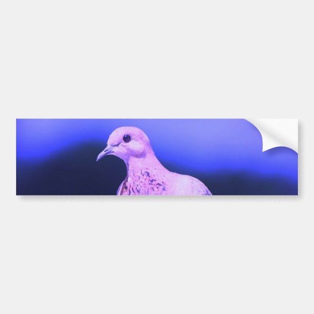 Dove Bumper Sticker (Front)