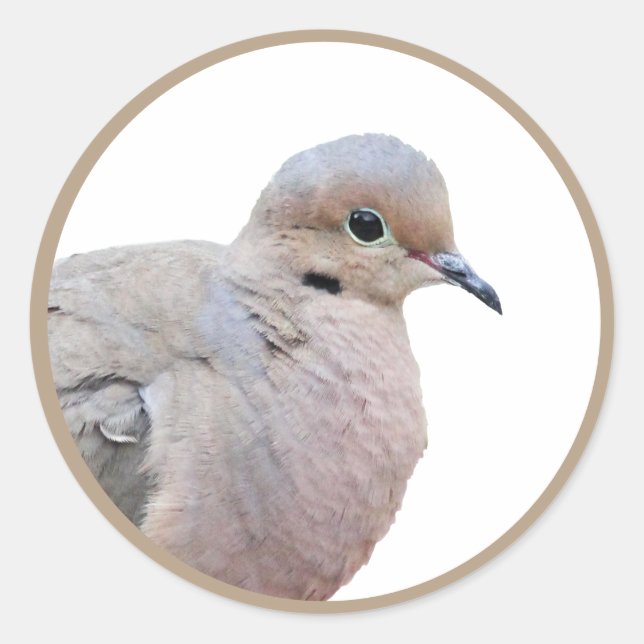 Dove Classic Round Sticker (Front)