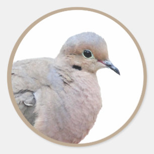 Dove Classic Round Sticker