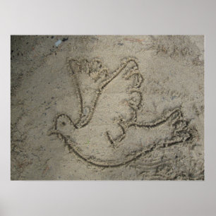Dove Drawn into the Sand Poster
