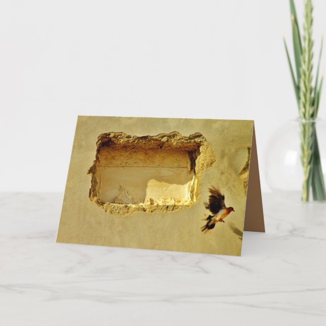 Dove in Flight Card (Front)