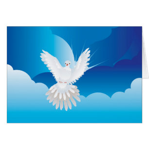 Dove in the Sky