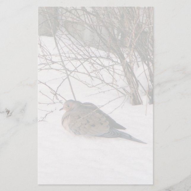 Dove in the Snow Stationery (Front)