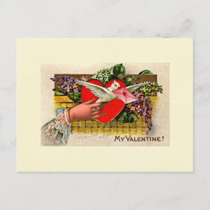 Dove Messenger Valentine Holiday Postcard