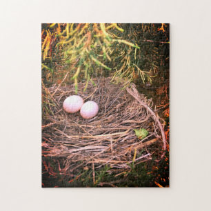 Dove Nest & Eggs Jigsaw Puzzle