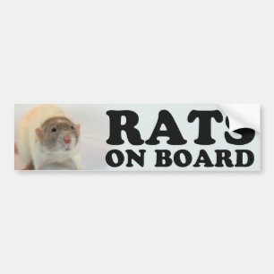 (Dove) Rats one board Bumper Sticker