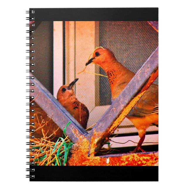 Dove Romance Notebook (Front)