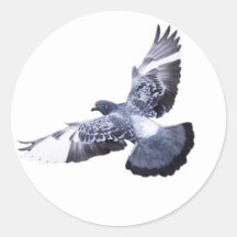 Dove Round Sticker