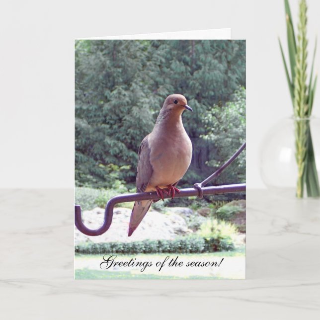 Dove  spring  solstice Easter greeting card (Front)