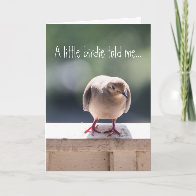 Dove Surprise Congratulations Greeting Card (Front)