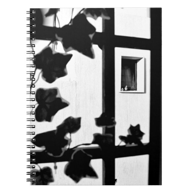 Dove View Notebook (Front)