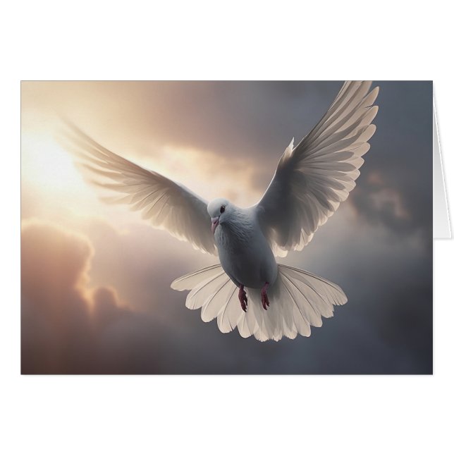 Dove volante et ciel nuageux ensoleillé (Devant horizontal)