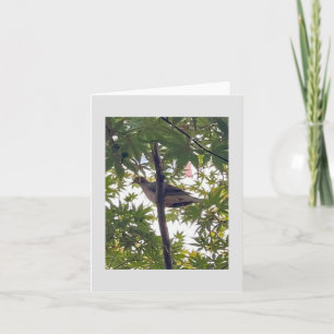 dove waiting card