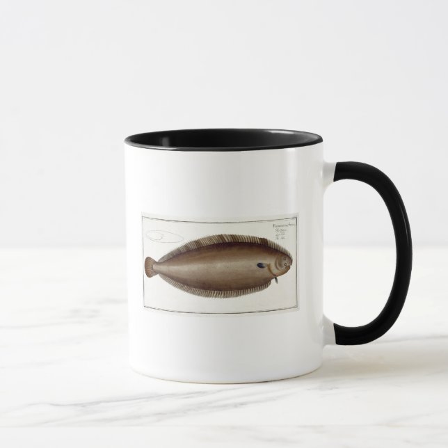 Dover Sole (Solea Solaea) plate XLV from 'Ichthyol Mug (Right)