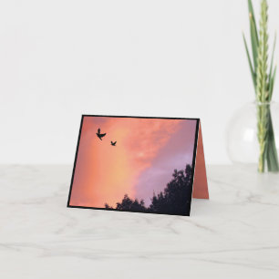 Doves at Sunset Thank You