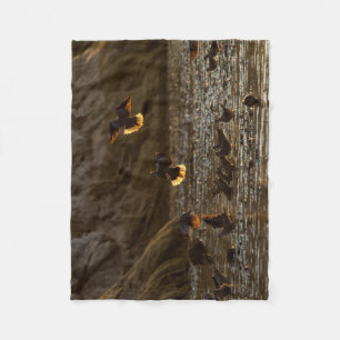 Doves in Morning light Fleece Blanket