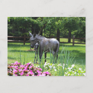 Dow Gardens, Midland, Michigan Postcard