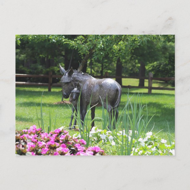 Dow Gardens, Midland, Michigan Postcard (Front)