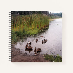 Down at the swamp.... notebook