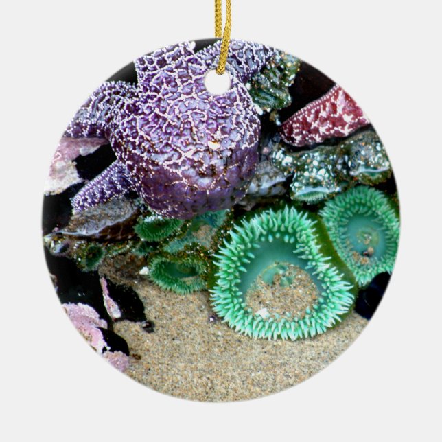 Down by the Sea Christmas Ornament (Front)