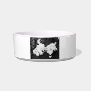 down fluffy bowl