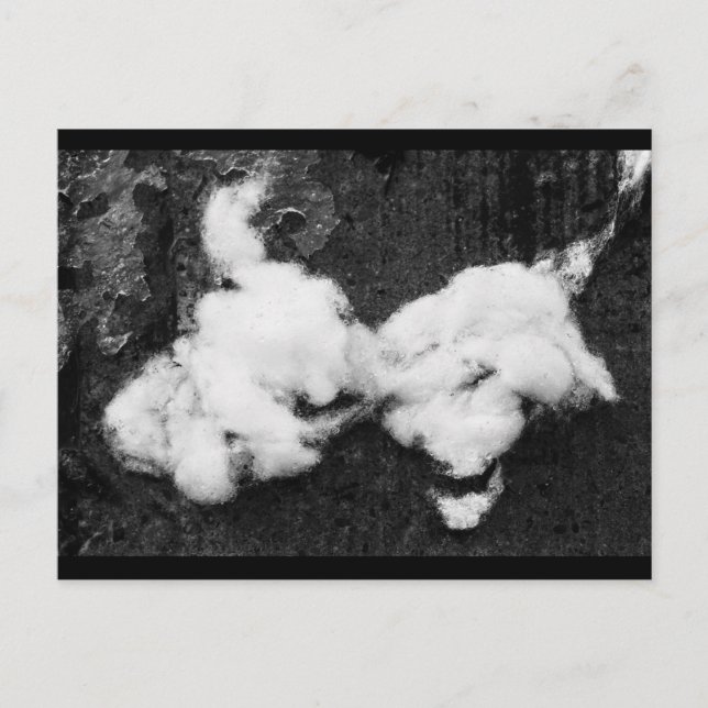 down fluffy holiday postcard (Front)