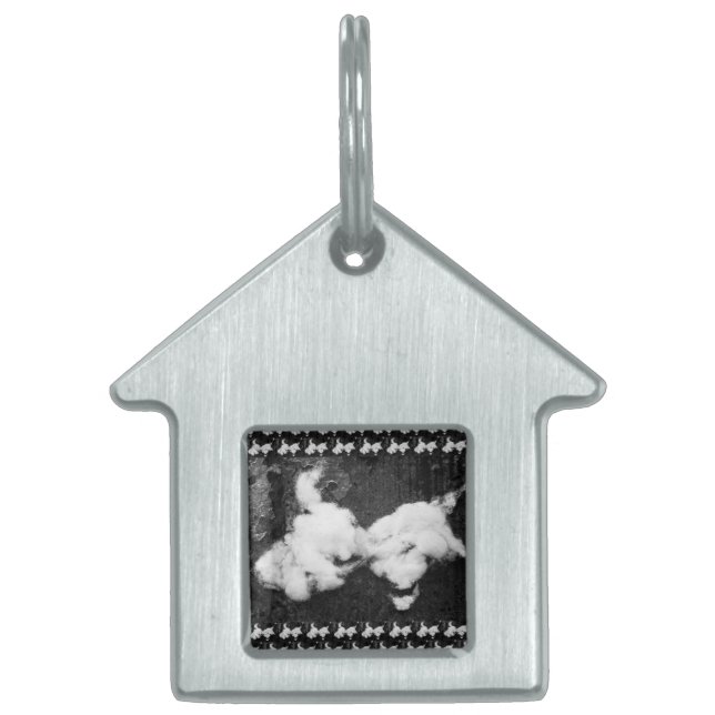 down fluffy pet ID tag (Front)