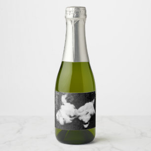 down fluffy sparkling wine label