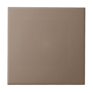 Down Homey Brown Square Kitchen and Bathroom Tile