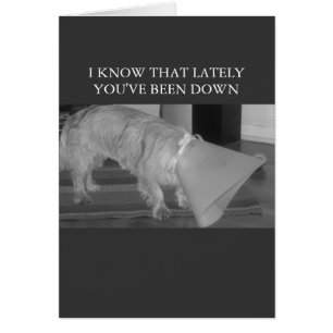down in the dumps