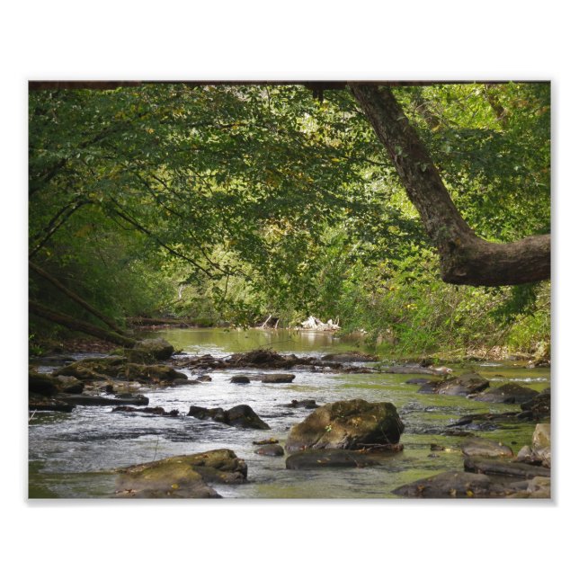Down Stream Photo Print (Front)