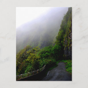 "Down the Beaten Path" postcard