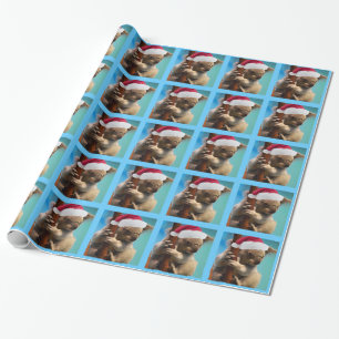 Down Under Christmas Hat Koala Wrapping Paper