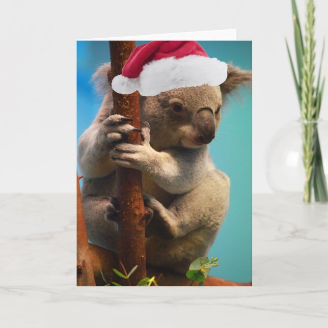Down Under Christmas Koala Holiday Card (Front)