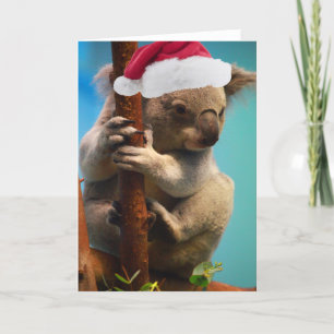 Down Under Christmas Koala Holiday Card