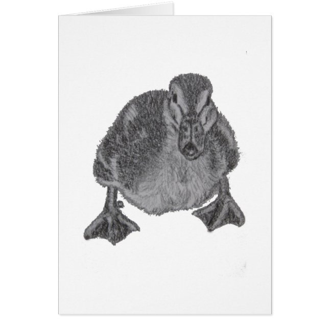 Downi Doll is ready (Front)