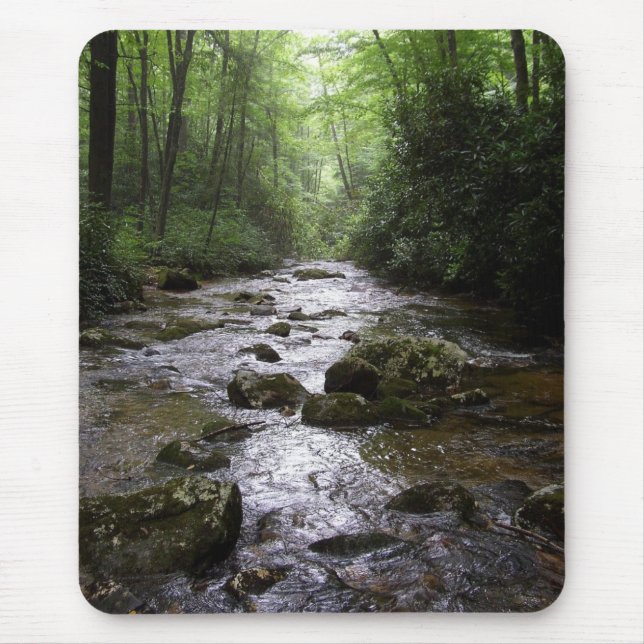 Downstream Mouse Pad (Front)